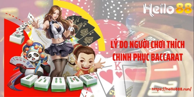 Lý do người chơi thích chinh phục Baccarat